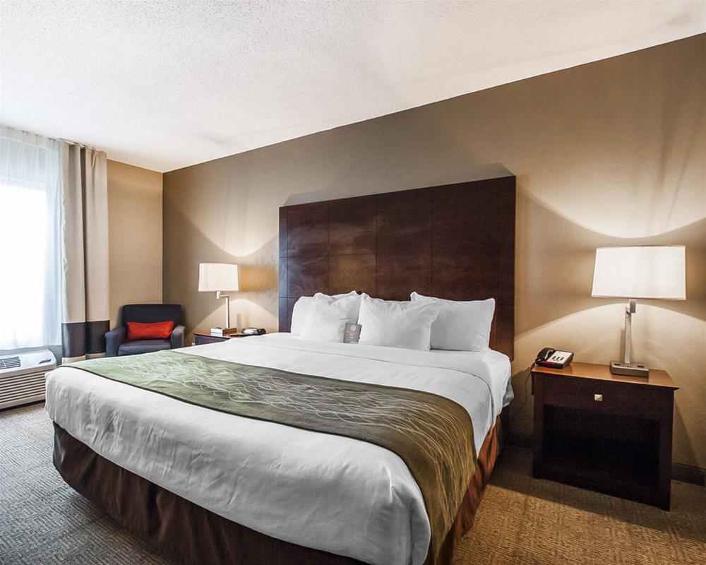 Comfort Inn Us Hwy 80 Demopolis Екстериор снимка