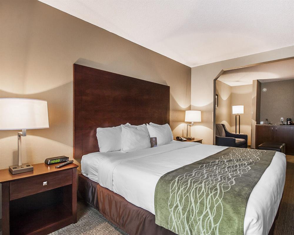 Comfort Inn Us Hwy 80 Demopolis Екстериор снимка