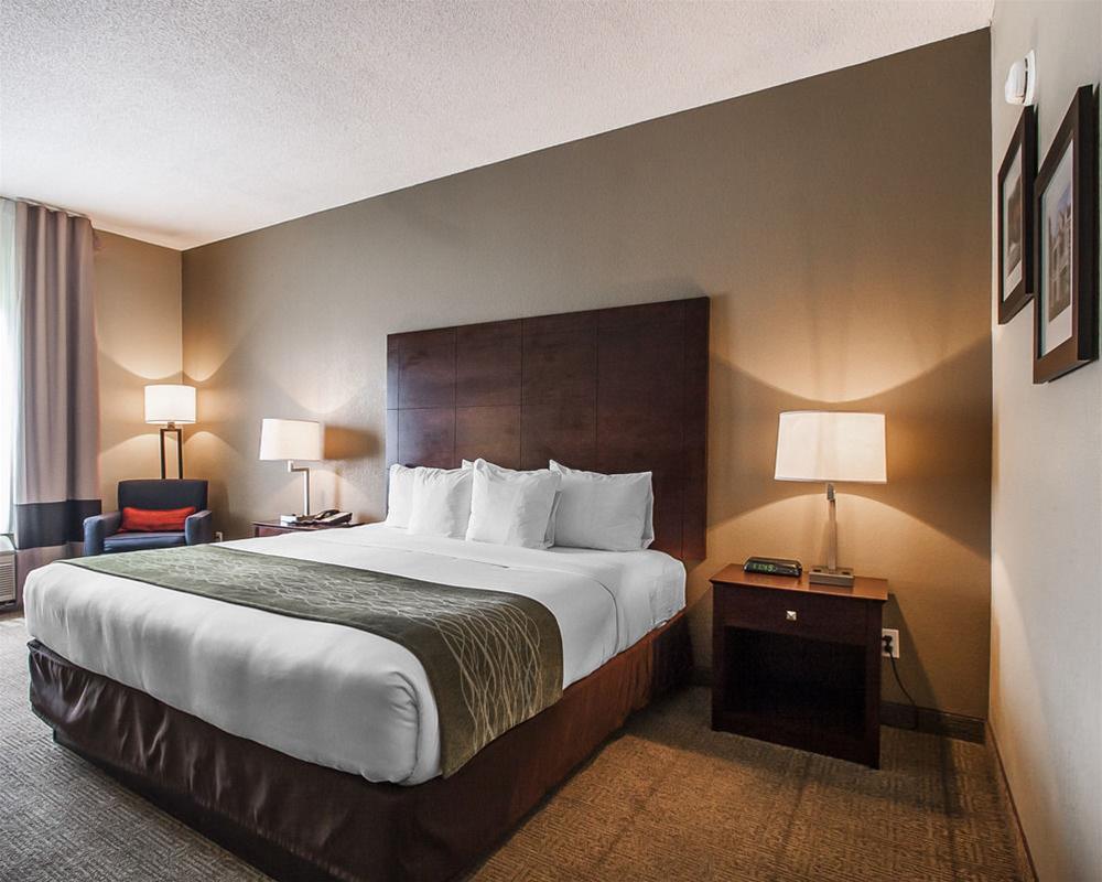 Comfort Inn Us Hwy 80 Demopolis Екстериор снимка